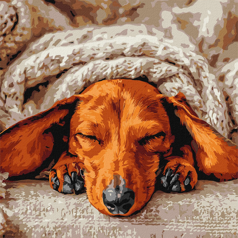 Картина за номерами - Солодкий спокій ©art_selena_ua